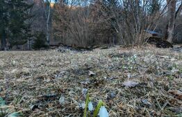 Casa de vacanta de vanzare in Rasnov - Brasov