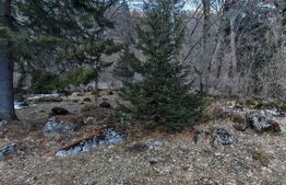 Casa de vacanta de vanzare in Rasnov - Brasov