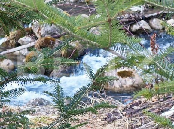 Casa de vânzare 9 camere Rasnov - 166936CV | BLITZ Brașov | Poza16