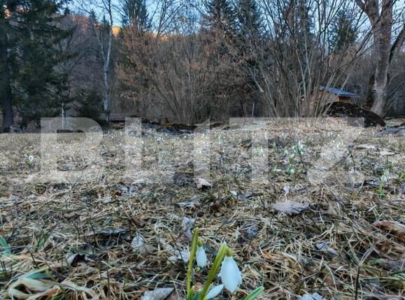 Casa de vânzare 9 camere Rasnov - 166936CV | BLITZ Brașov | Poza17