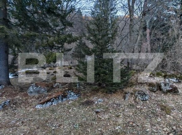 Casa de vânzare 9 camere Rasnov - 166936CV | BLITZ Brașov | Poza15