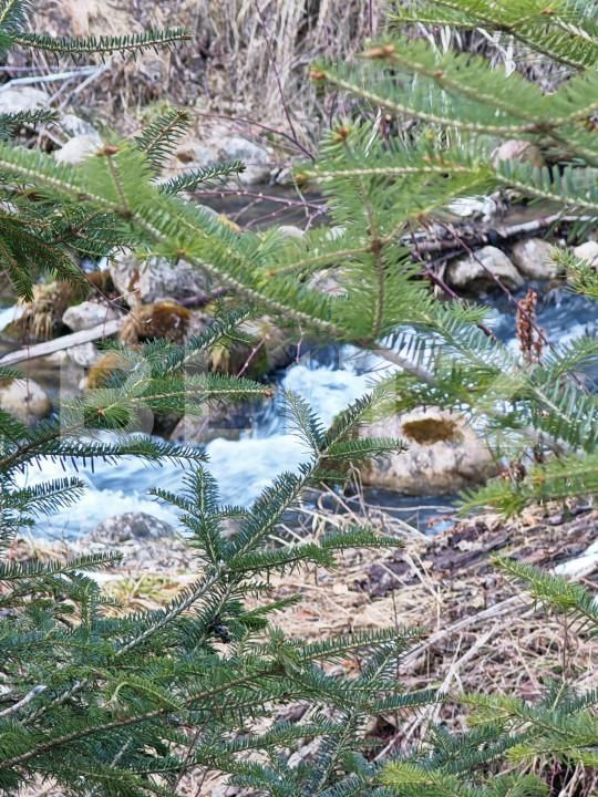 Casa de vânzare 9 camere Rasnov - 166936CV | BLITZ Brașov | Poza16