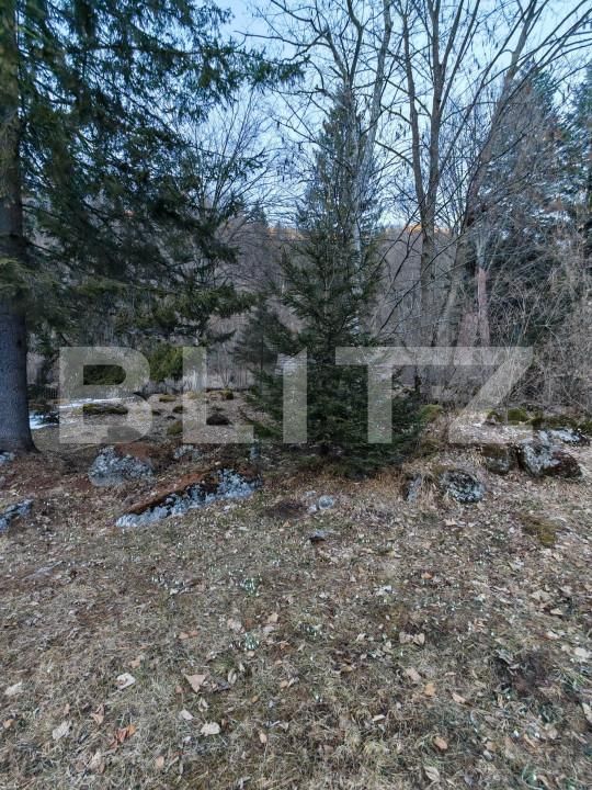 Casa de vânzare 9 camere Rasnov - 166936CV | BLITZ Brașov | Poza15