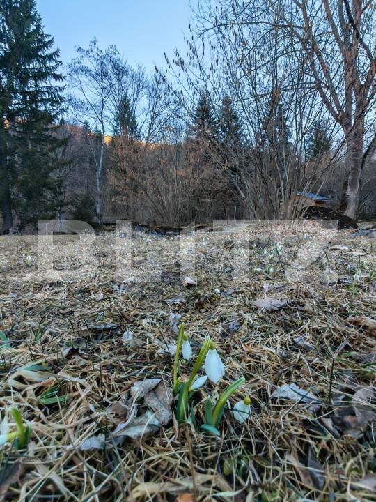 Casa de vânzare 9 camere Rasnov - 166936CV | BLITZ Brașov | Poza17