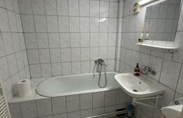  Închiriere apartament cu 1 cameră, 40 mp, zona Strada Eroilor