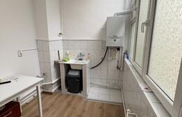  Închiriere apartament cu 1 cameră, 40 mp, zona Strada Eroilor