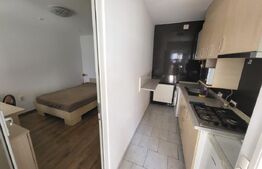 Oportunitate investiție! 2 garsoniere, 49 mp, preluare de chiriaș, zona Horea