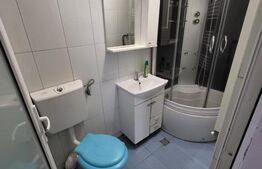 Oportunitate investiție! 2 garsoniere, 49 mp, preluare de chiriaș, zona Horea