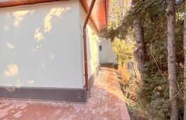 Casa individuala, 6 camere, 196 mp, zona Parc 14 Iulie-Grigorescu