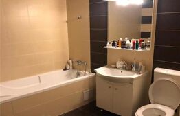 Oportunitate! Apartament tip studio, 44 mp, decomadat, zona p-ta Marasti