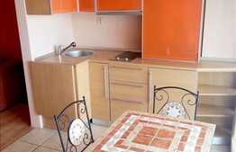 Inchiriere 2 camere, 50 mp utili, zona Horea, imobil nou