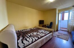 Garsoniera decomandata, 28 mp, zona Bucegi