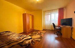 Garsoniera decomandata, 28 mp, zona Bucegi