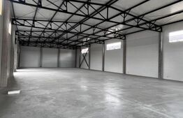 Hala noua de vanzare, 590 mp, zona Baciu