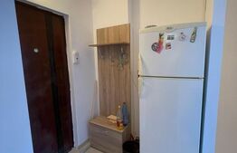 Apartament 1 camera, 40 mp, recent renovat, zona Observatorului