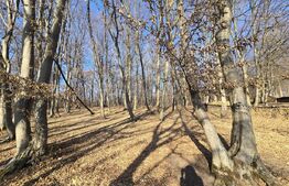 Teren cu sufrafata de 1100 mp in Padurea Faget 