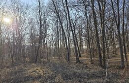 Teren cu sufrafata de 1100 mp in Padurea Faget 