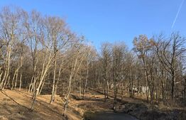 Teren cu sufrafata de 1100 mp in Padurea Faget 