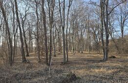 Teren cu sufrafata de 1100 mp in Padurea Faget 