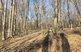 Teren cu sufrafata de 1100 mp in Padurea Faget 