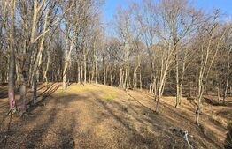 Teren cu sufrafata de 1100 mp in Padurea Faget 