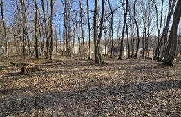 Teren cu sufrafata de 1100 mp in Padurea Faget 