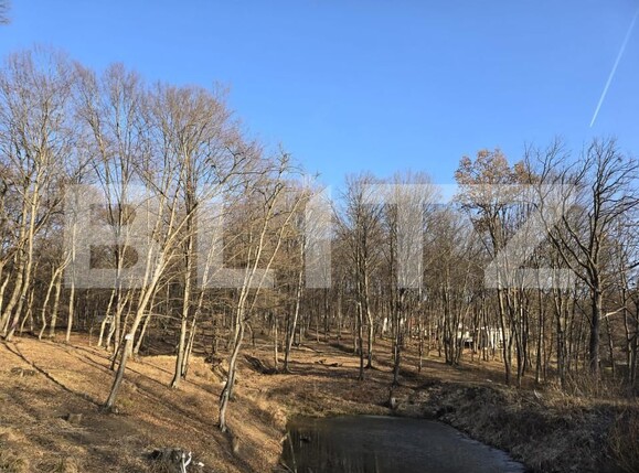 Teren de vânzare Făget - 167189TV | BLITZ Cluj-Napoca | Poza10