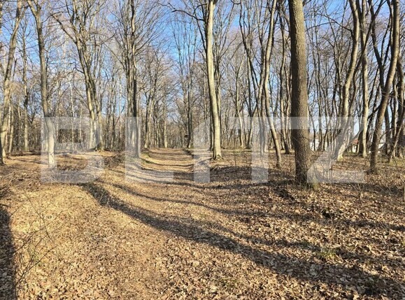 Teren de vânzare Făget - 167189TV | BLITZ Cluj-Napoca | Poza3