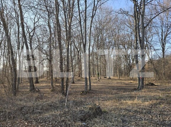 Teren de vânzare Făget - 167189TV | BLITZ Cluj-Napoca | Poza9