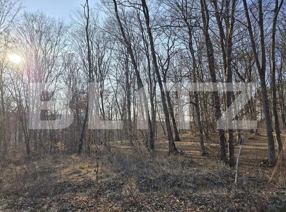 Teren de vânzare Făget - 167189TV | BLITZ Cluj-Napoca | Poza8