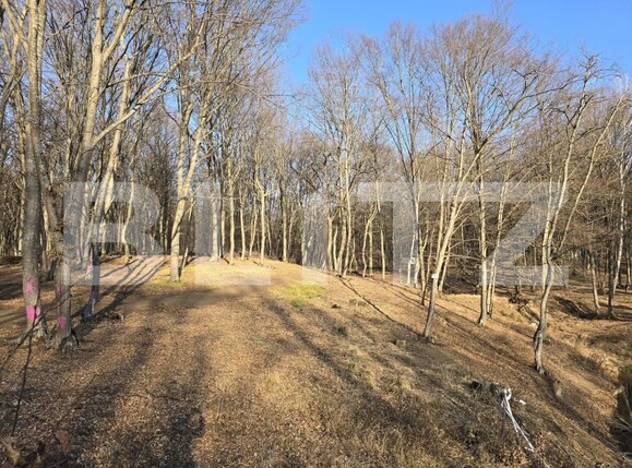 Teren de vânzare Făget - 167189TV | BLITZ Cluj-Napoca | Poza3