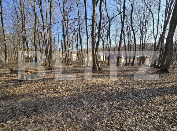 Teren de vânzare Făget - 167189TV | BLITZ Cluj-Napoca | Poza2