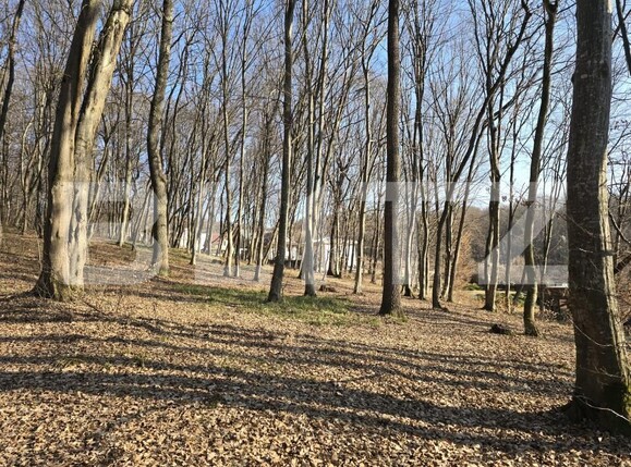 Teren de vânzare Făget - 167189TV | BLITZ Cluj-Napoca | Poza1