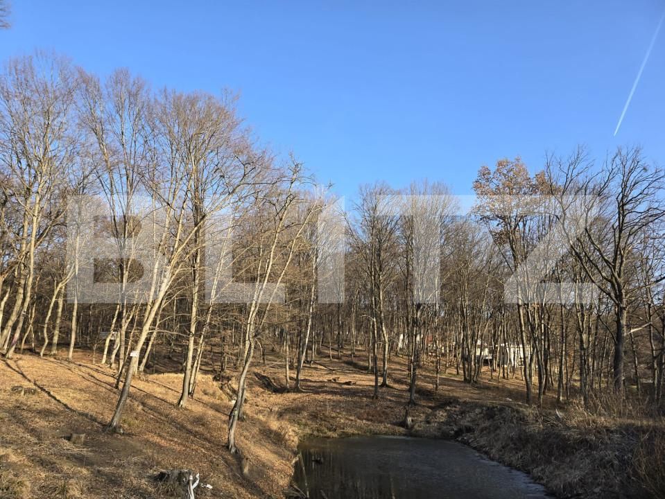 Teren de vânzare Făget - 167189TV | BLITZ Cluj-Napoca | Poza8