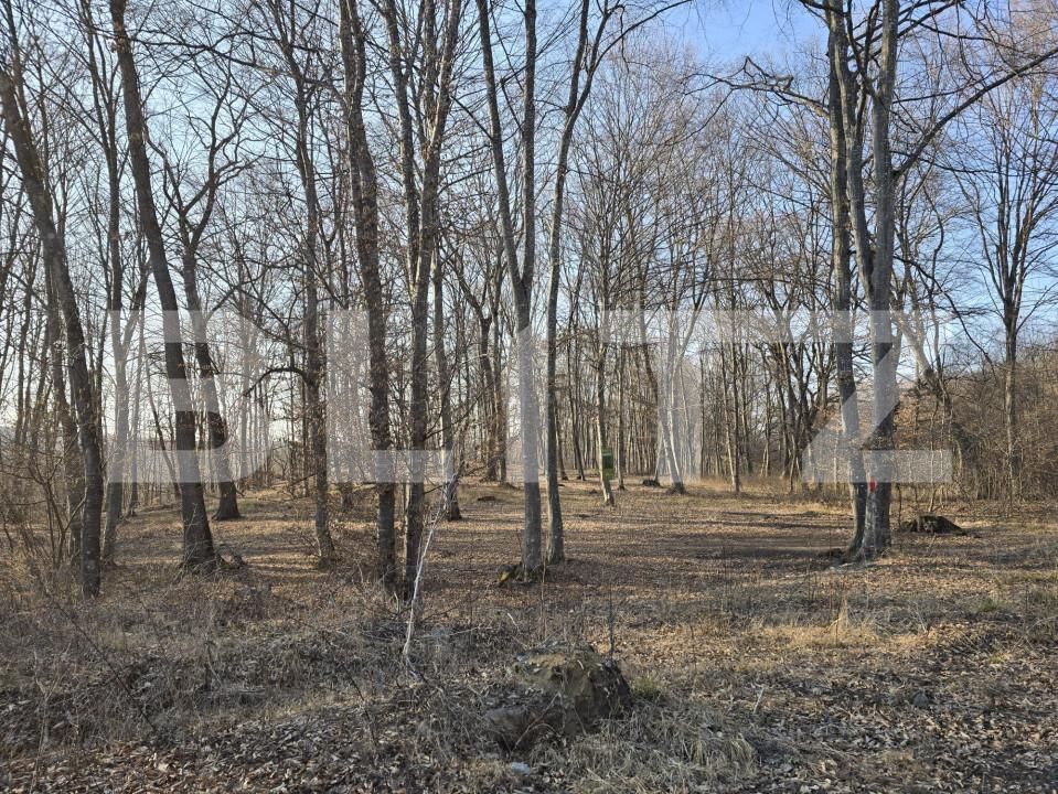 Teren de vânzare Făget - 167189TV | BLITZ Cluj-Napoca | Poza7