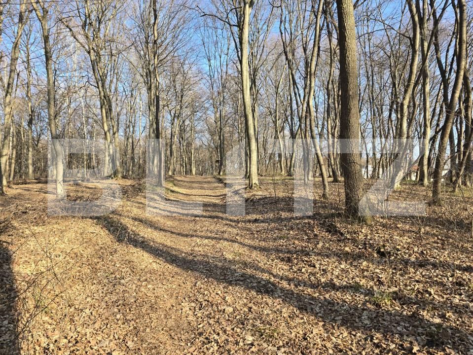 Teren de vânzare Făget - 167189TV | BLITZ Cluj-Napoca | Poza10