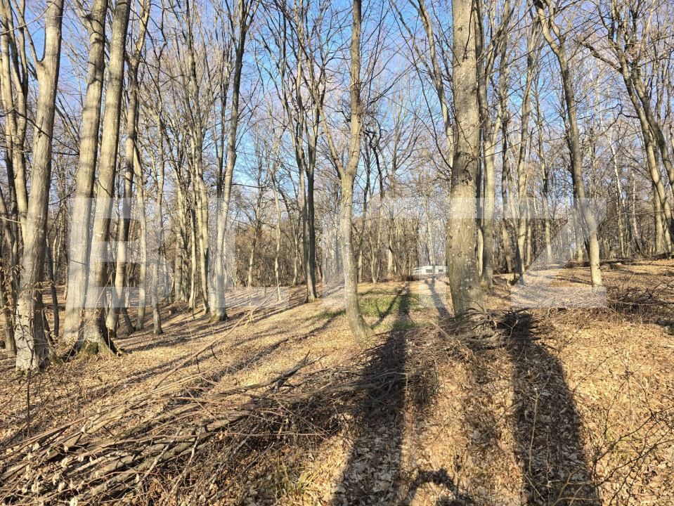 Teren de vânzare Făget - 167189TV | BLITZ Cluj-Napoca | Poza4