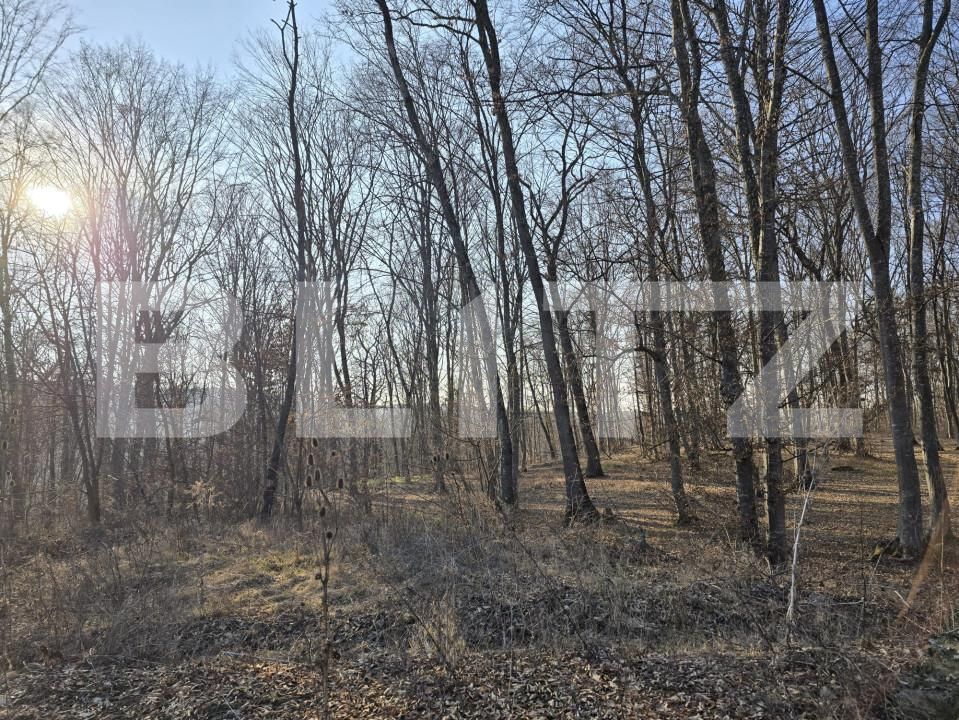 Teren de vânzare Făget - 167189TV | BLITZ Cluj-Napoca | Poza8