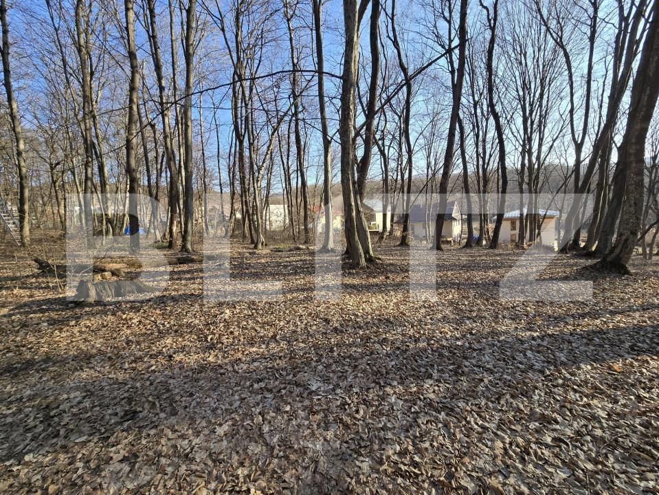 Teren de vânzare Făget - 167189TV | BLITZ Cluj-Napoca | Poza2