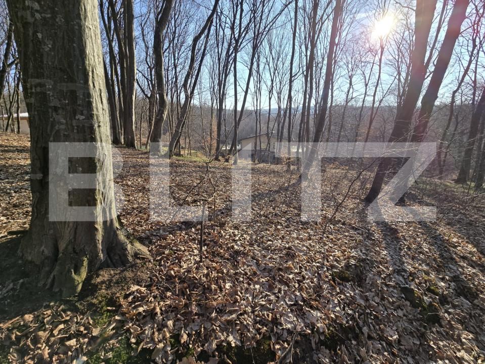 Teren de vânzare Făget - 167189TV | BLITZ Cluj-Napoca | Poza5