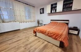 Apartament cu 1 camera 