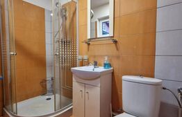 Apartament cu 1 camera 