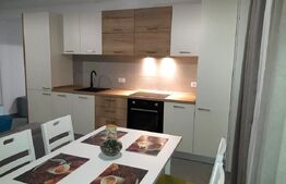Apartament tip studio de vânzare, 2 camere, 47 mp, zona Tractorul