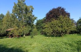 Casă 4 camere, 120mp, 4000 mp teren, cartier Târlungeni se accepta schimb cu apt