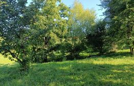 Casă 4 camere, 120mp, 4000 mp teren, cartier Târlungeni se accepta schimb cu apt