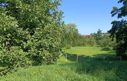 Casă 4 camere, 120mp, 4000 mp teren, cartier Târlungeni se accepta schimb cu apt