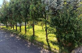 Casă 4 camere, 120mp, 4000 mp teren, cartier Târlungeni se accepta schimb cu apt