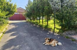 Casă 4 camere, 120mp, 4000 mp teren, cartier Târlungeni se accepta schimb cu apt