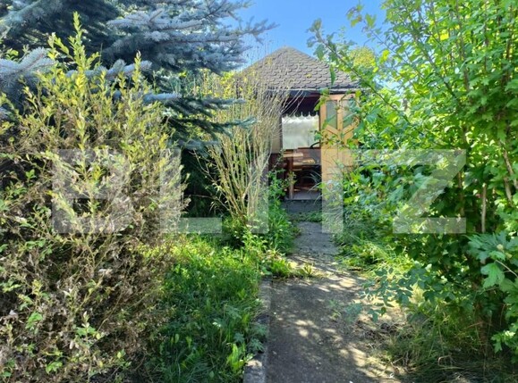 Casa de vânzare 4 camere Tarlungeni - 167237CV | BLITZ Brașov | Poza9