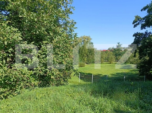 Casa de vânzare 4 camere Tarlungeni - 167237CV | BLITZ Brașov | Poza3